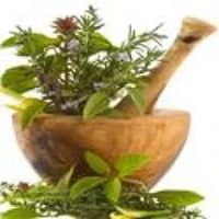 Мази из Тайланда по лучшим ценам – купить с доставкой по России